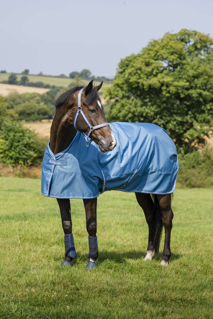 bucas Outdoordecke Freedom Turnout 50 g Blueberry